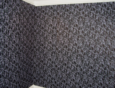 Wallpaper installation 1: Quantum Attraction