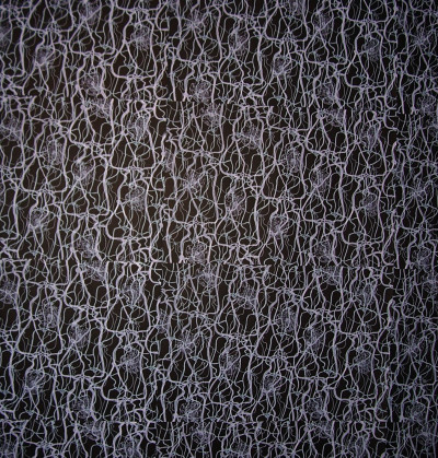 Wallpaper installation detail 2: Quantum Attraction