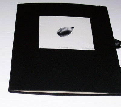 Fragments: print portfolio closed