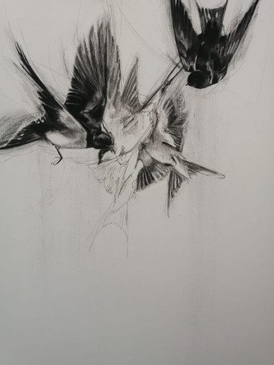 A moment in flight 1