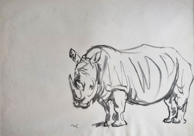 Untitled No 39. Rhinoceros