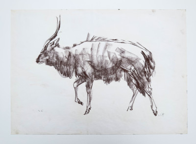 Untitled No 3a. Nyala