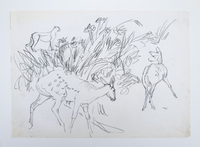 Untitled No 5a. Two Bushbucks & Cheetah