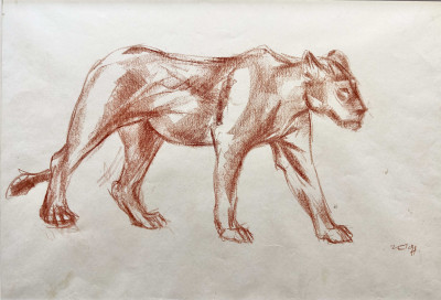 Untitled No 19. Lioness