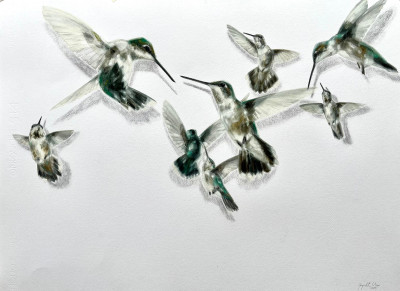 Whispering Wings II