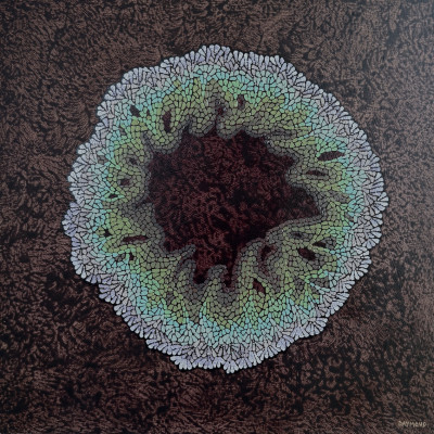 Inside the Coral Reef