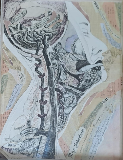 Terra Incognita