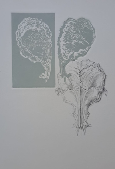 Skull of a shape shifting water spirit