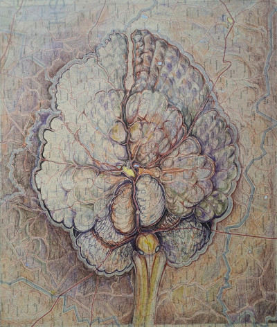 Vrede