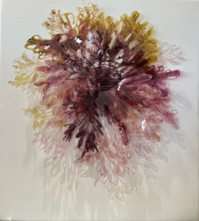 Tidal Bloom