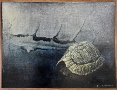 The Tortoise Will Guide You