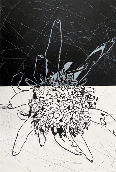 Night and Day