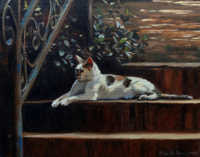 Stealthy Witness (Gracey)