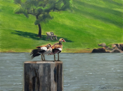 Die Gans Wat Die Goue Eiers le