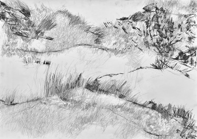 Terrain