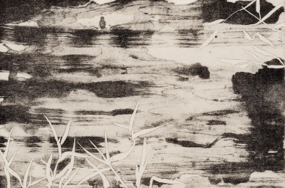 Buffallo Grass at the Water's Edge
