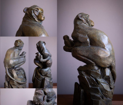 Monkey with Bird