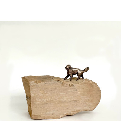Labrador