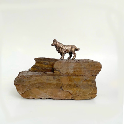 Collie