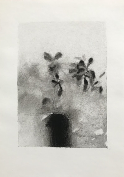 Windowsill 3